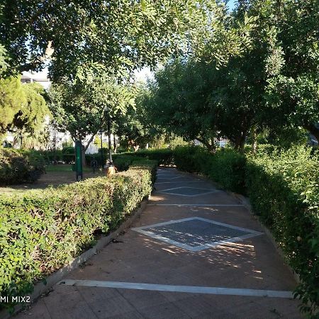 Beautiful House In Alimos Near To The Beach And Metro Ateny Zewnętrze zdjęcie